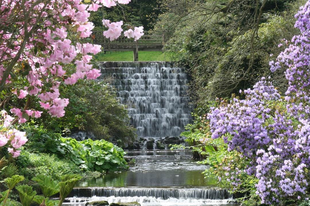 Harewood